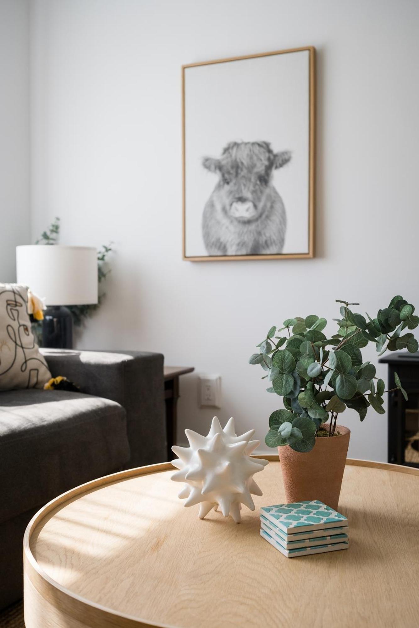 The Darcie House - Cozy, Pet-Friendly Home In Pec Picton Eksteriør bilde